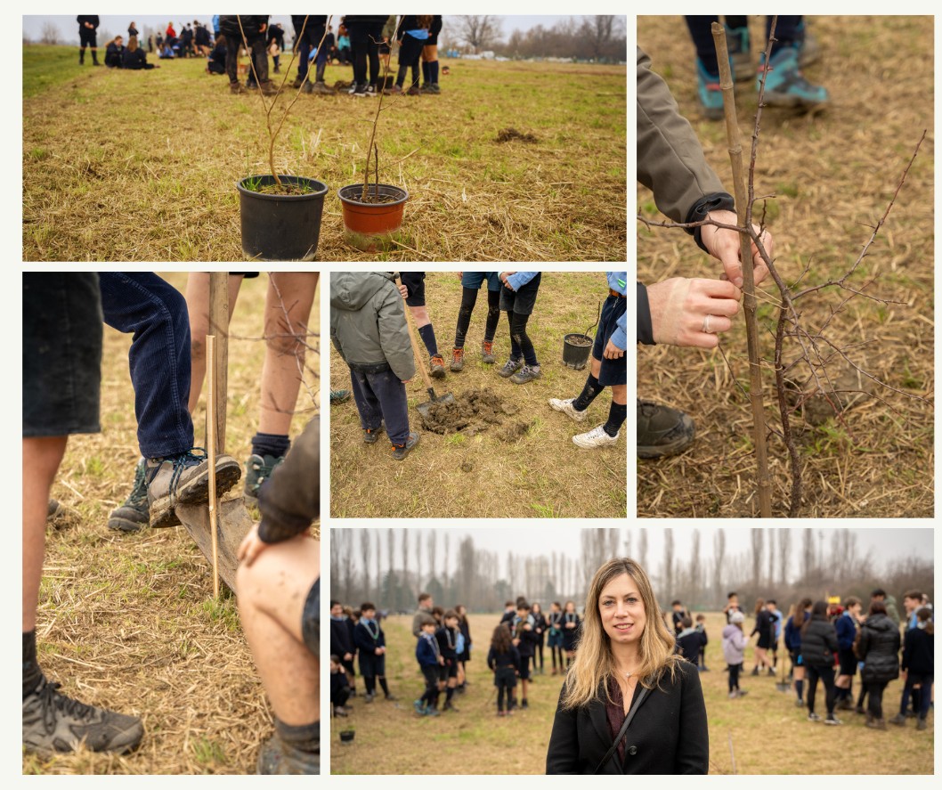 Collage di immagini dell'evento